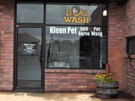 Dog Wash Picture